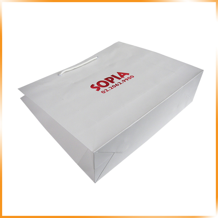 기성2호(소피아)