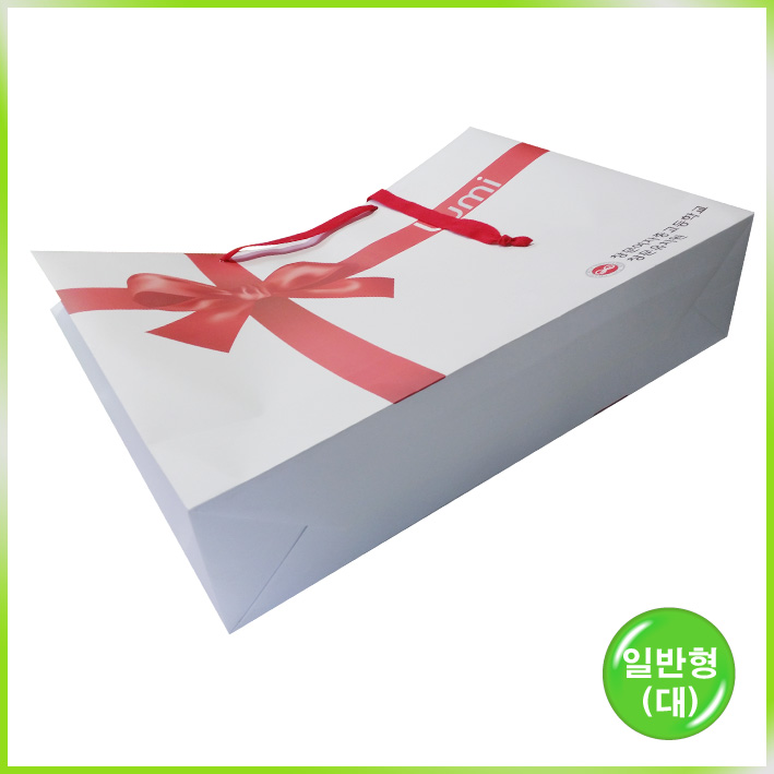 일반형 쇼핑백(창문여자중고)