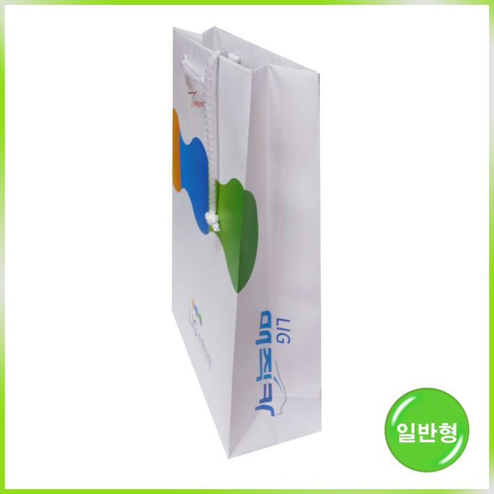 일반형 쇼핑백(LIG손해보험)