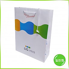 일반형 쇼핑백(LIG손해보험)