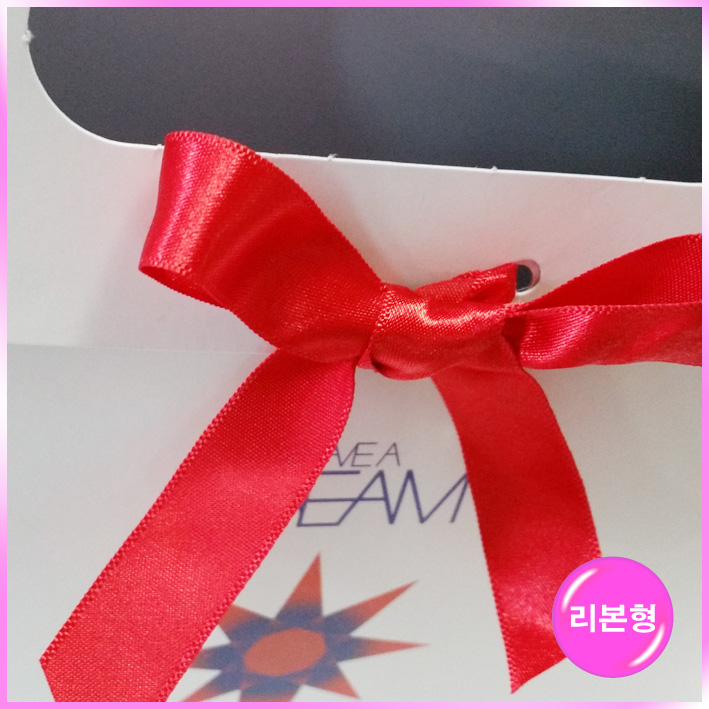 손잡이형 쇼핑백(DREAM)