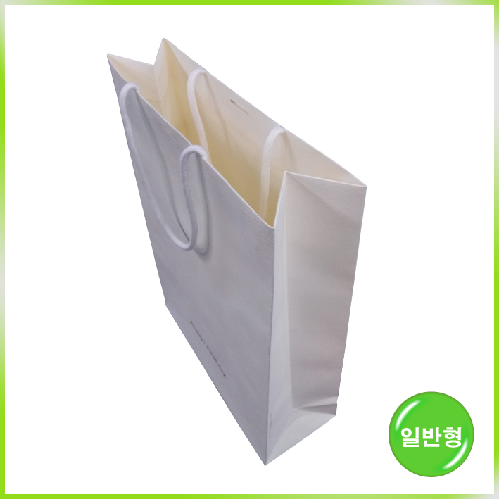 특수지 쇼핑백(Always FINEday大)