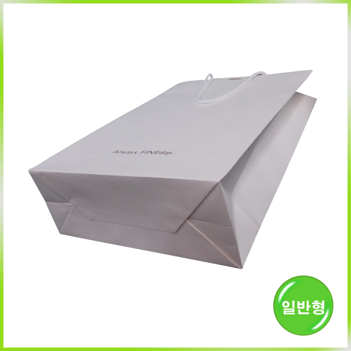 특수지 쇼핑백(Always FINEday大)