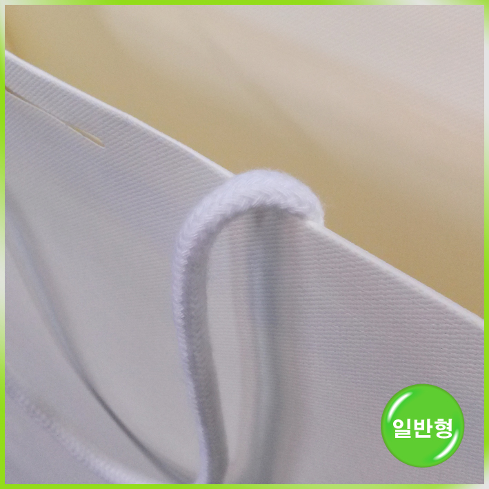 특수지 쇼핑백(Always FINEday大)