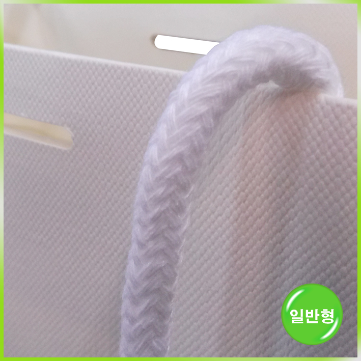 특수지 쇼핑백(Always FINEday小)