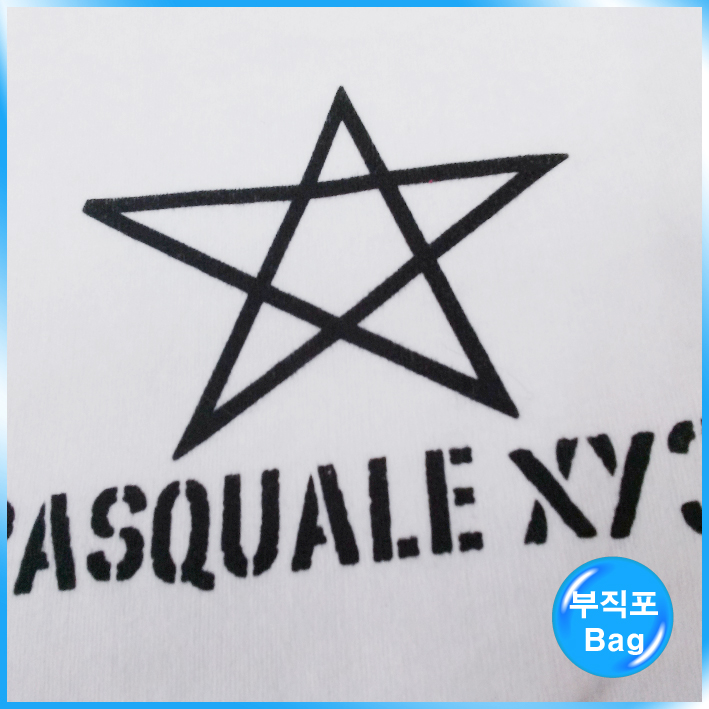 부직포Bag(PASQUALE)