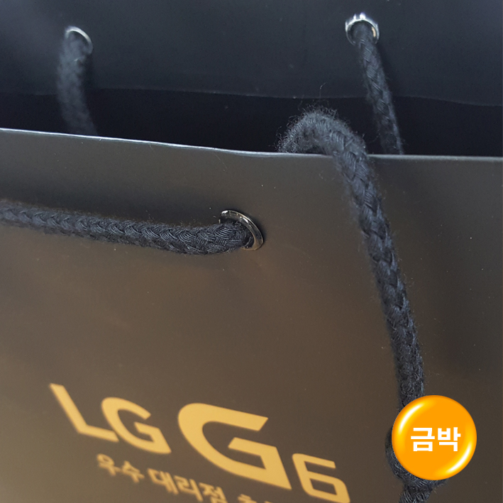 기성1호/검정02(LGG6)