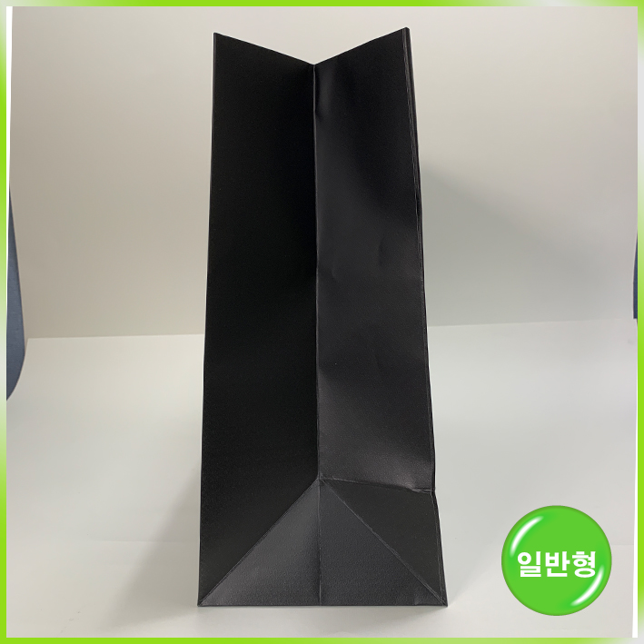 일반형 쇼핑백(머스트잇-大)