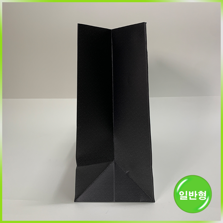 일반형 쇼핑백(머스트잇-中)