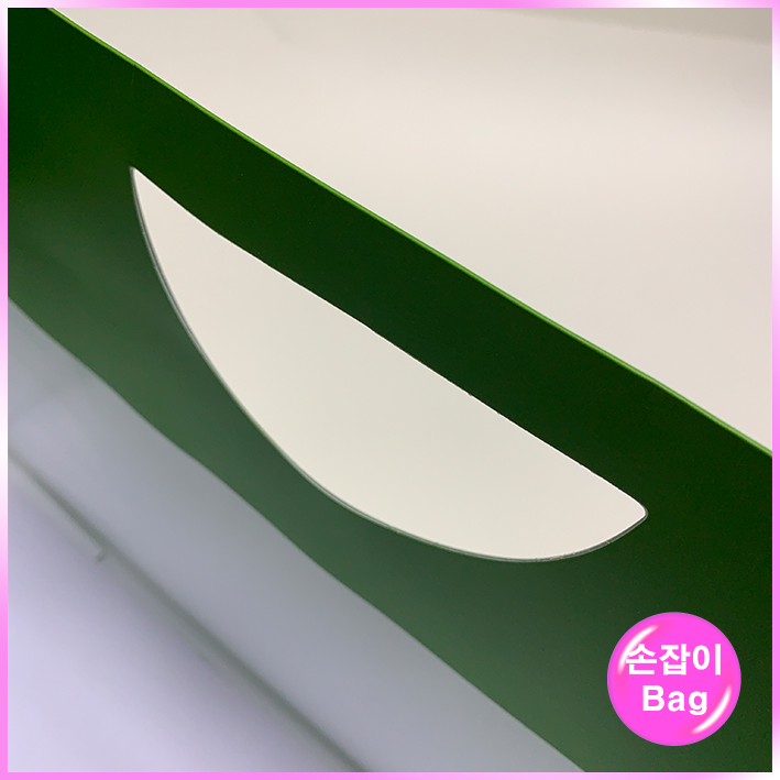 손잡이형 쇼핑백 (플란투어)