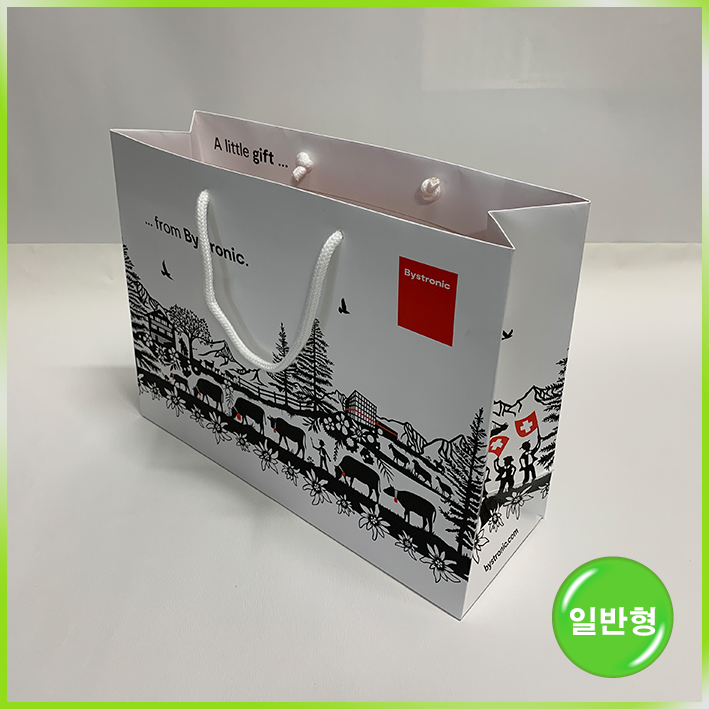 일반형 쇼핑백(바이스토닉 2023)