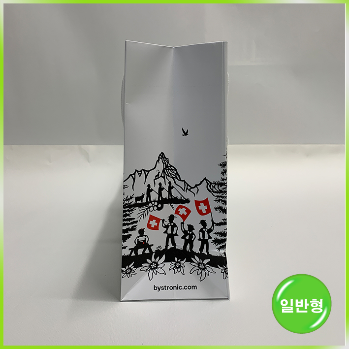 일반형 쇼핑백(바이스토닉 2023)