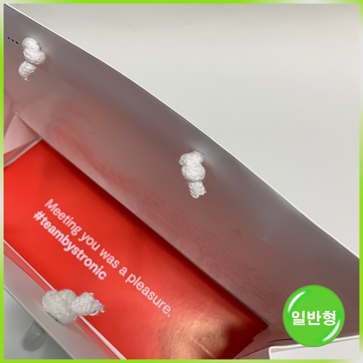 일반형 쇼핑백(바이스토닉 2023)