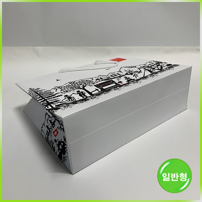 일반형 쇼핑백(바이스토닉 2023)