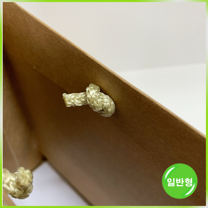 일반형 쇼핑백(에이센트中)