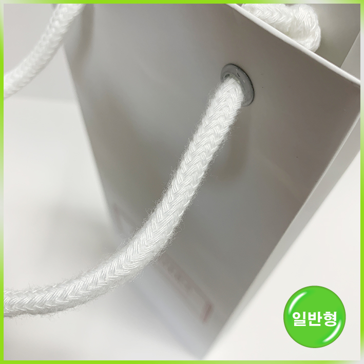 일반형 쇼핑백(프리미어스티 특小)