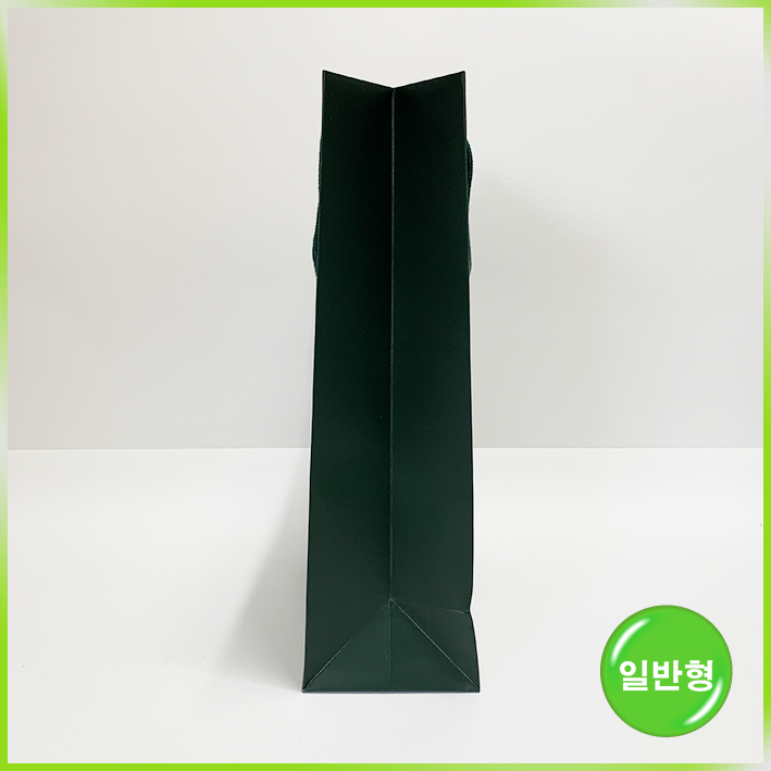 일반형 쇼핑백(하얏트 델리 일반大)