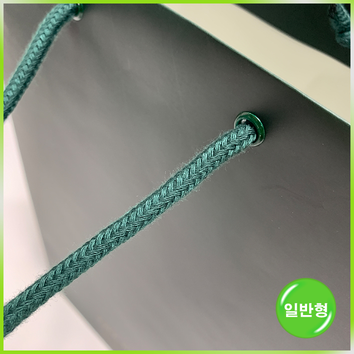 일반형 쇼핑백(하얏트 델리 일반大)