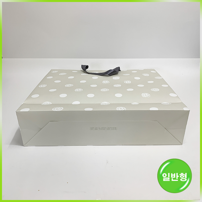 일반형 쇼핑백(루이독 中)