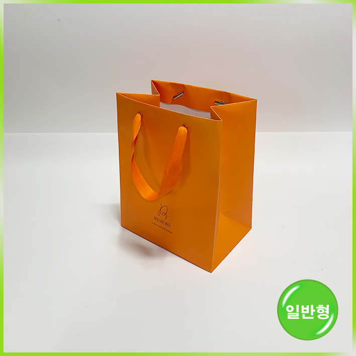 일반형 쇼핑백(리뉴식스)