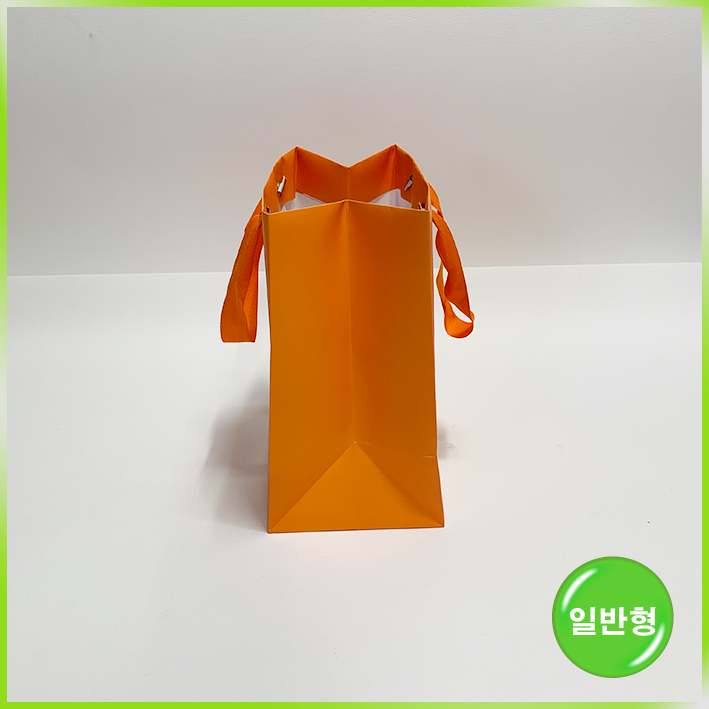 일반형 쇼핑백(리뉴식스)