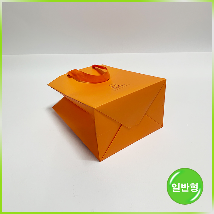 일반형 쇼핑백(리뉴식스)