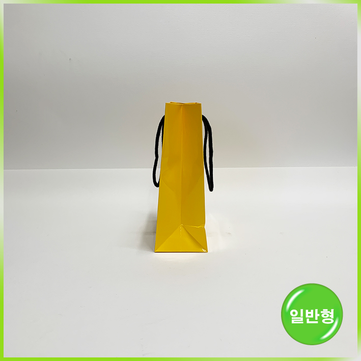 일반형 쇼핑백(아쿠아 디파르마)