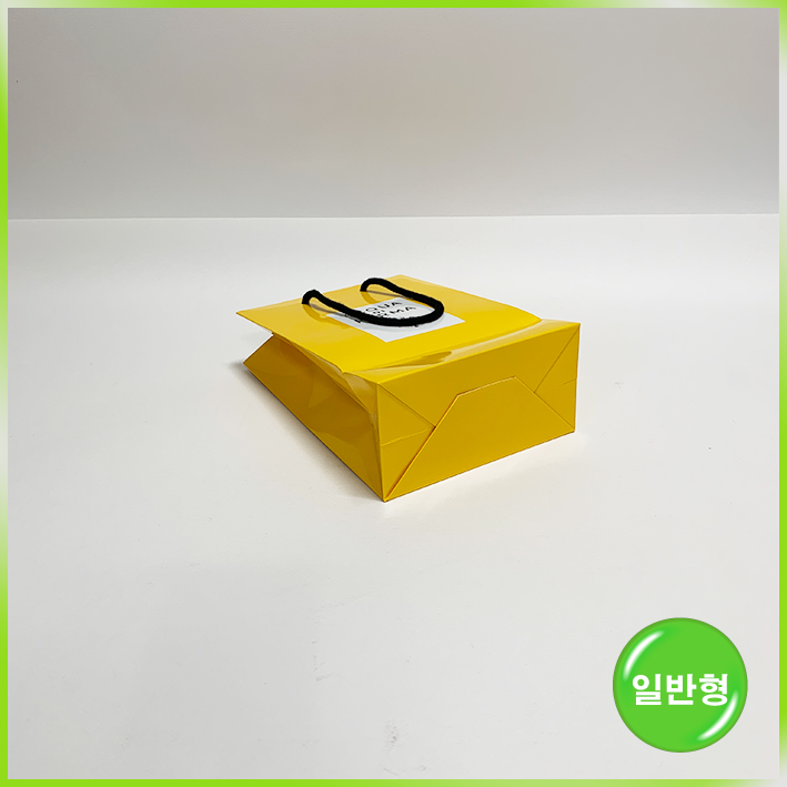 일반형 쇼핑백(아쿠아 디파르마)