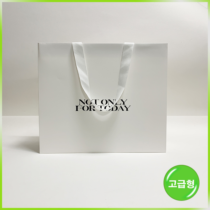 매립형 쇼핑백(낫온리포투데이)