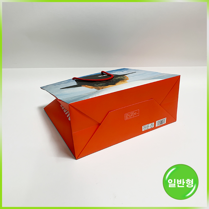 일반형 쇼핑백(캠퍼 中)