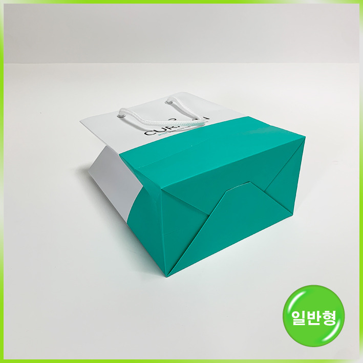 일반형 쇼핑백(오벨리네일푸스)