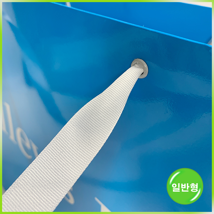 일반형 쇼핑백(앨리스랩(특대))